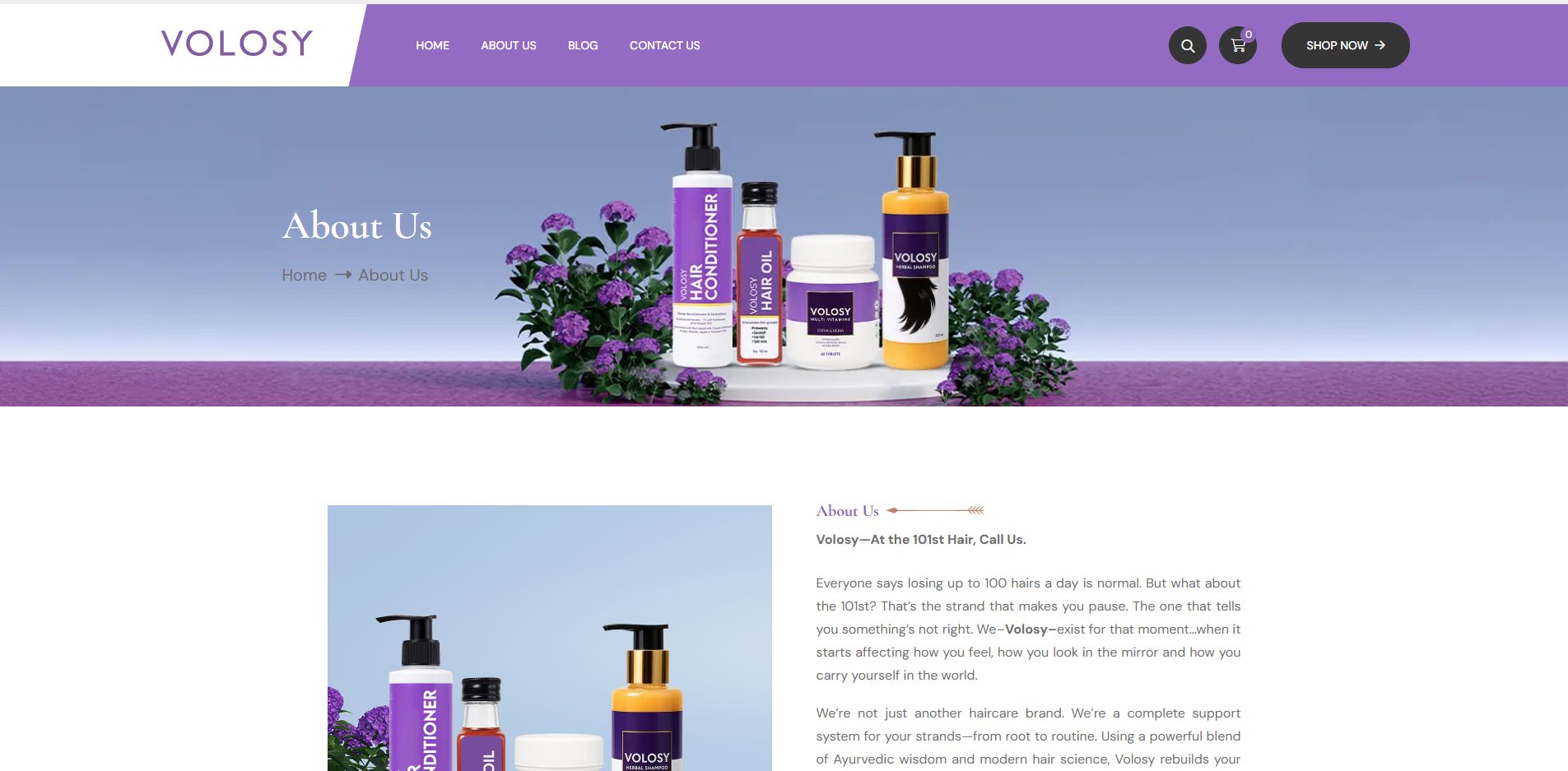 Website homepage content presented inside a soft editorial laptop mockup.